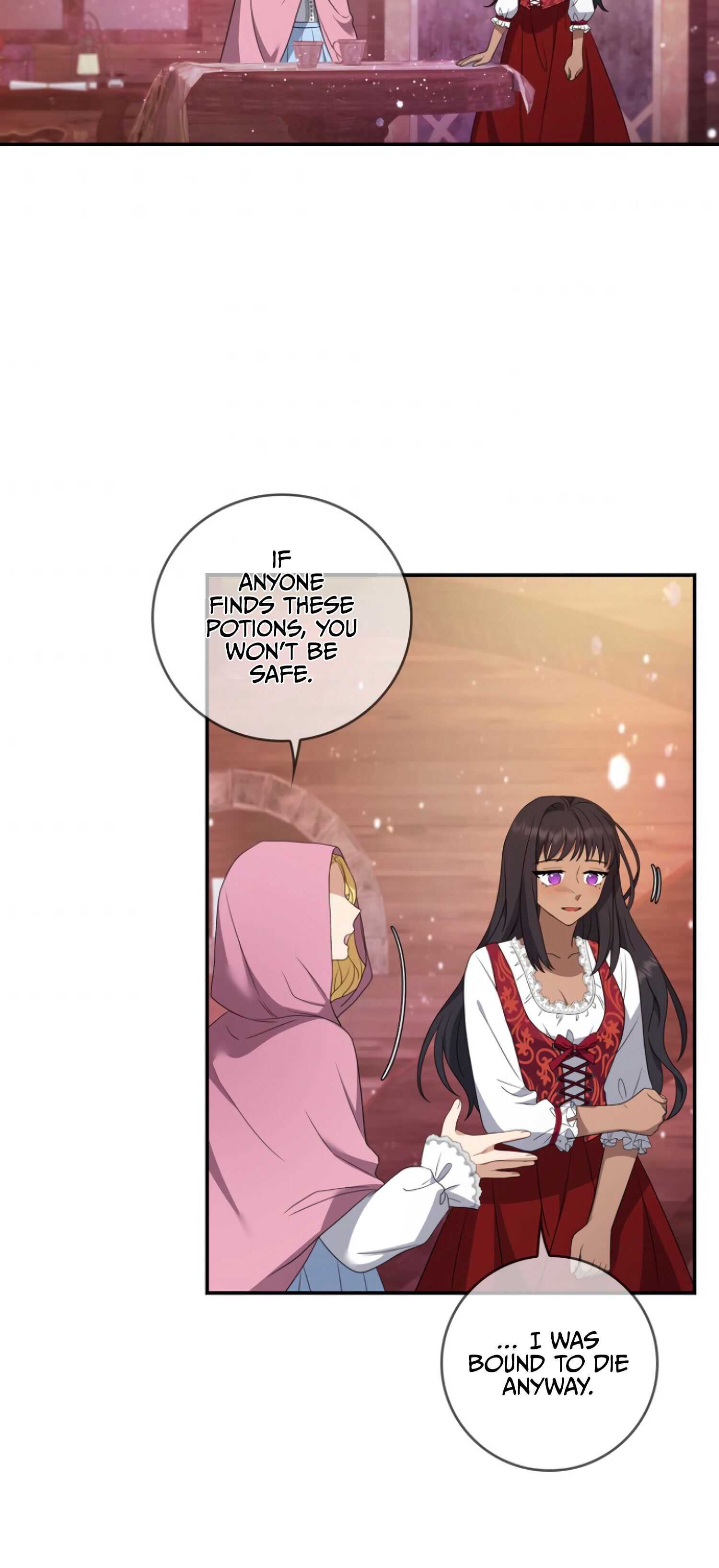 The Two-Faced Princess Chapter 22 30